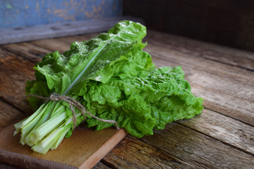 Freshly organic picked green swiss chard on wooden background. Spring green herbs