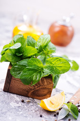 fresh mint