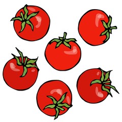 A Bunch of Red Fresh Ripe Tomatoes. Isolated On a White Background. Realistic and Doodle Style Hand Drawn Sketch Vector Illustration.