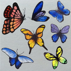 Set of watercolor butterflies, vector illustration. Collection of hand drawing butterflies.
