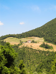Fototapeta na wymiar Italian countryside (Emilia Romagna) with blue sky background