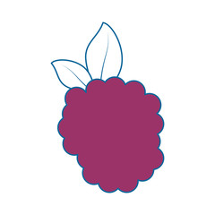 blackberry fresh fruit icon vector illustration graphic design
