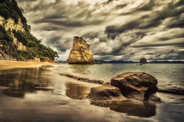 Foto op Plexiglas Cathedral Cove Sphinx Rock, Cathedral Cove, Nieuw-Zeeland