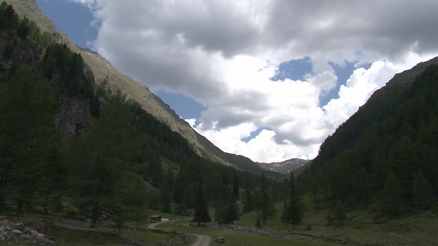 Berg, Tal, Osttirol, Lienz, Villgraten, Stallertal, Arntal, Wei&szlig;e Spitze, Rote Spitze, Fels, Degenhorn, Arntaler Lenke, bl&uuml;hen