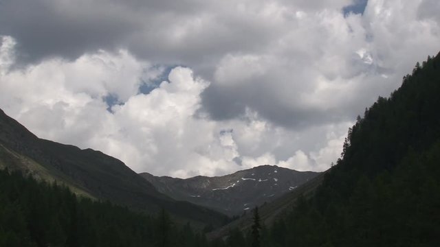 Berg, Tal, Osttirol, Lienz, Villgraten, Stallertal, Arntal, Wei&szlig;e Spitze, Rote Spitze, Fels, Degenhorn, Arntaler Lenke, bl&uuml;hen