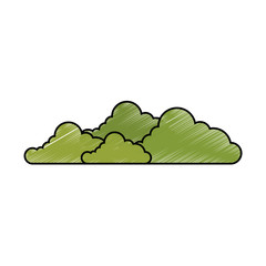 isolated cute bush icon vector illustration graphic design