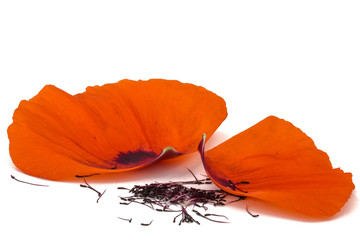 Petals of poppy flower, isolated on white background