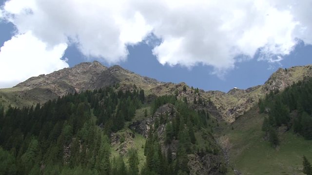 Berg, Tal, Osttirol, Lienz, Villgraten, Stallertal, Arntal, Wei&szlig;e Spitze, Rote Spitze, Fels, Degenhorn, Arntaler Lenke, bl&uuml;hen