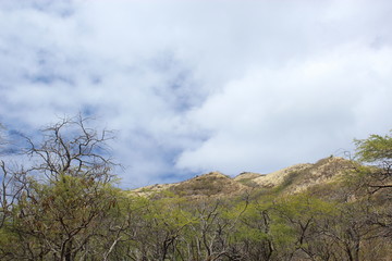 ダイヤモンドヘッド火口からの風景