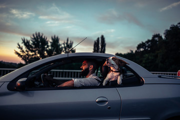 Enjoying the ride © bernardbodo