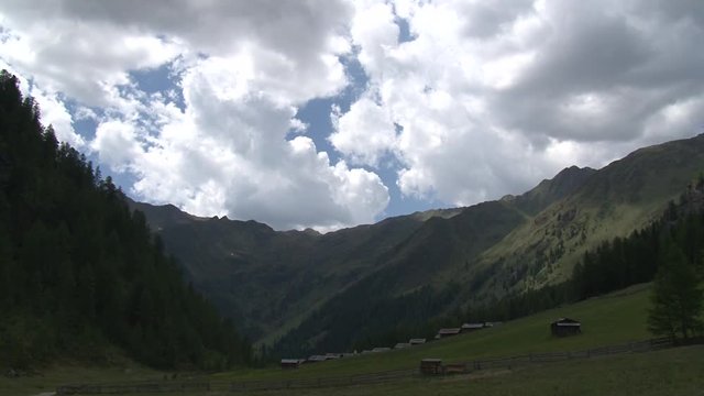 Berg, Tal, Osttirol, Lienz, Villgraten, Stallertal, Arntal, Wei&szlig;e Spitze, Rote Spitze, Fels, Degenhorn, Arntaler Lenke, bl&uuml;hen