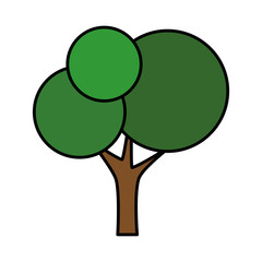 isolated cute tree icon vector illustration graphic design