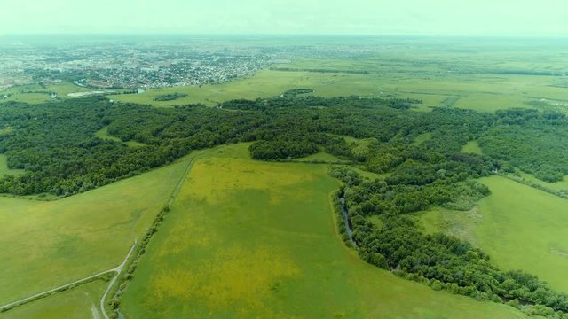 Aerial view. Beautiful landscape with meadows and forest