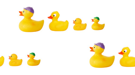 Family of yellow rubber ducks. pattern