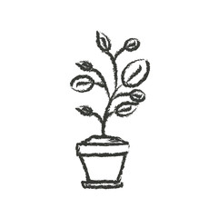 monochrome blurred silhouette of plant in flower pot vector illustration