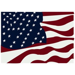 Us Flag Icon