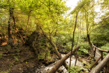 Roztocze (Roztochia) National Park. Cascades on Sopot river. Czartowe Pole (Devil's Field) reservation.