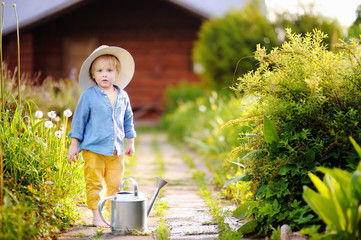 Cute little boy watering plants in the garden at summer sunny day