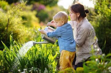 Cute toddler boy and his young mother watering plants in the garden
