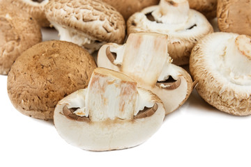 heap of common mushrooms
