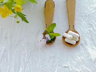 Alternative health fresh plants and herbal capsules in wooden spoon on white background, space for...