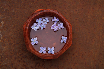Obraz na płótnie Canvas Lilac flower petals floating in a bowl of water
