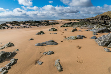 Footsteps in Forvie Sands.