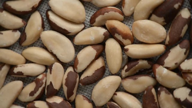The brazil nut rotates on the turntable.