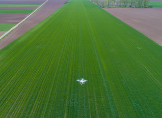 Drone flying over wheat field