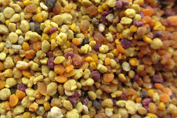 Bee pollen background