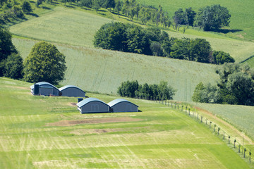 huts in the green meadow