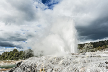 Pohutu and Prince of Wales geysers