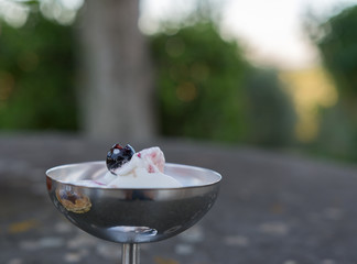 Eiscreme als Dessert in silber teller