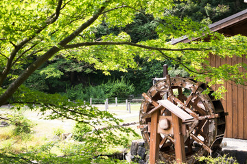 Japanese Water Wheel