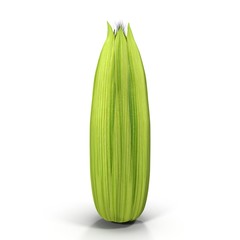 Ear of corn isolated on a white. Fresh corncob. 3D illustration
