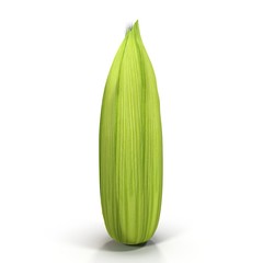 Ears of sweet corn isolated on white. 3D illustration