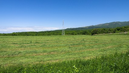 Fototapeta premium 高原の牧草地と風車