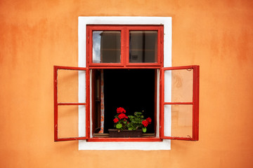 Opened old red window with flowers in orange wall