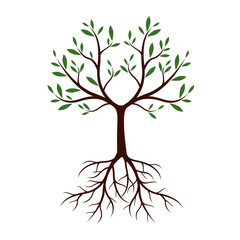 Fototapeta premium Natural Tree with Leaves and Roots. Vector Illustration.
