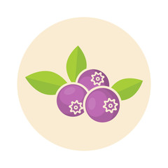 blueberry icon