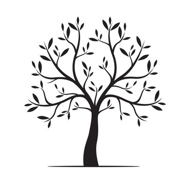 Natural Tree with Leaves. Vector Illustration.