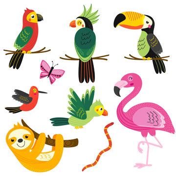 set of isolated with tropical animals - vector illustration, eps