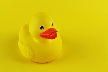 An image of a yellow duck infront of a yellow background