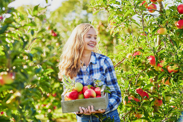 Woman holding crate with ripe red apples on farm
