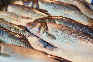 trout on farmer market in Paris, France
