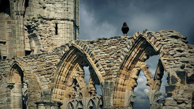 Crow Squawks On Abbey Ruins