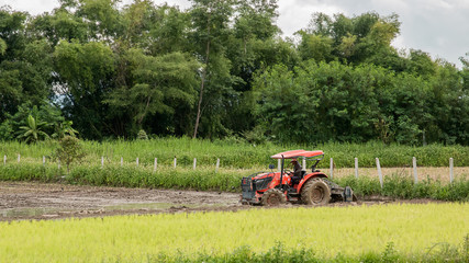 Obraz premium tiller in Southeast Asia.