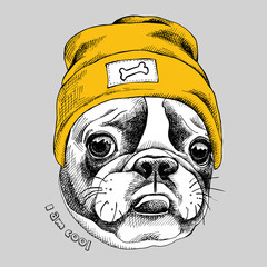 Portrait of French bulldog in a yellow Hipster hat. Vector illustration.
