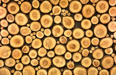 Möbelaufkleber Cross section of wood logs taped on a wall © salajean