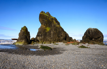 Fototapeta na wymiar Ruby Beach in Olympic National Park